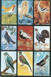 Typical Birds of Spain Nice modern Spanish postcard