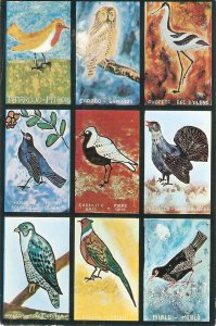 Typical Birds of Spain Nice modern Spanish postcard