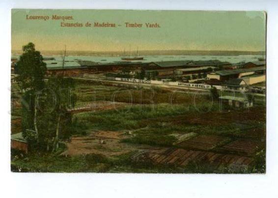 144689 PORTUGAL MADEIRA Timber yards Vintage postcard