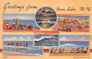 Greetings from - Swan Lake, New York