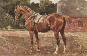 G.K. A noble horse Tuck Oilette Stable Friends Series PC # 4084