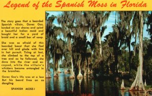 Vintage Postcard Legend Of The Spanish Moss Old Cypress Trees Florida FL