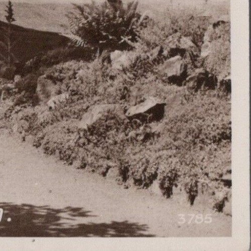 Worcestershire Postcard - Malvern, Priory Park. Real Photo, Posted 1953 -RS39345