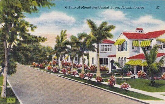 A Typical Miami Residential Street Miami Florida