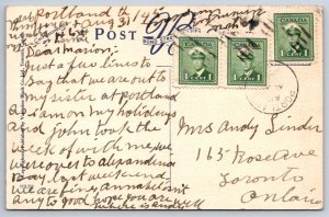 Boldt Estate, Heart Island Thousand Islands, St Lawrence River, Vintage Postcard