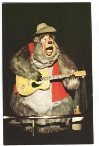 Postcard  Disney World The Country Bear Jamboree Orlando FL