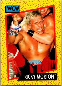 1991 WCW Wrestling Crad Ricky Morton sk21119