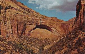 Utah Zion National Park The Great Arch From Switchback Road