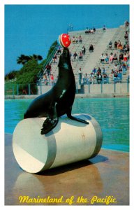 Postcard CA Palos Verdes Marineland Pacific Sea Lion rolling atop a barrel