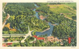 Silver Springs Florida Airplane View Linen Postcard Unused