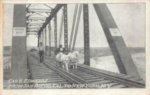 CAP. V. EDWARDS SAN DIEGO CALIFORNIA TO NEW YORK GOAT CARRIAGE POSTCARD (c.1905)