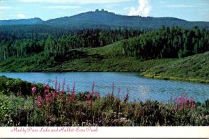 Colorado Rocky Mountains Muddy Pass Lake and Rabbit Ears Mountain