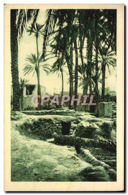 Old Postcard Figuig Kaour of Zeuags seen North