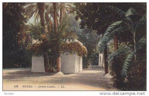 Jardins Landon, Biskra, Algeria, Africa, 1900-1910s