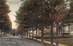 Greenville Pennsylvania Columbia Avenue Street Scene Antique Postcard J61104