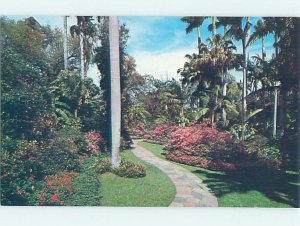 Pre-1980 SUNKEN GARDENS SCENE St. Petersburg Florida FL AF9233-12