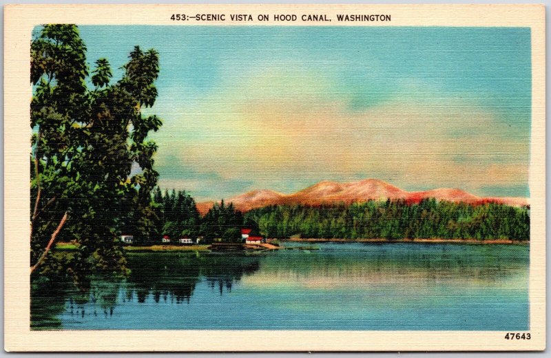 Scenic Vista On Hood Canal Washington WA Mountain Forest & Houses Postcard