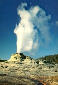 Yellowstone National Park Castle Geyser