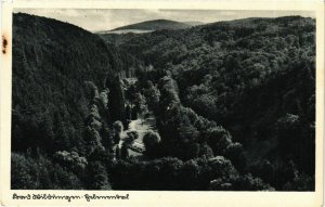 CPA AK Bad Wildungen GERMANY (899481)