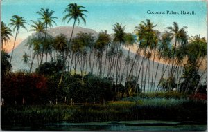 Vtg 1910s Cocoanut Palms Hawaii HI Postcard