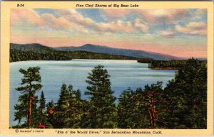 Postcard WATER SCENE San Bernardino California CA AL1465