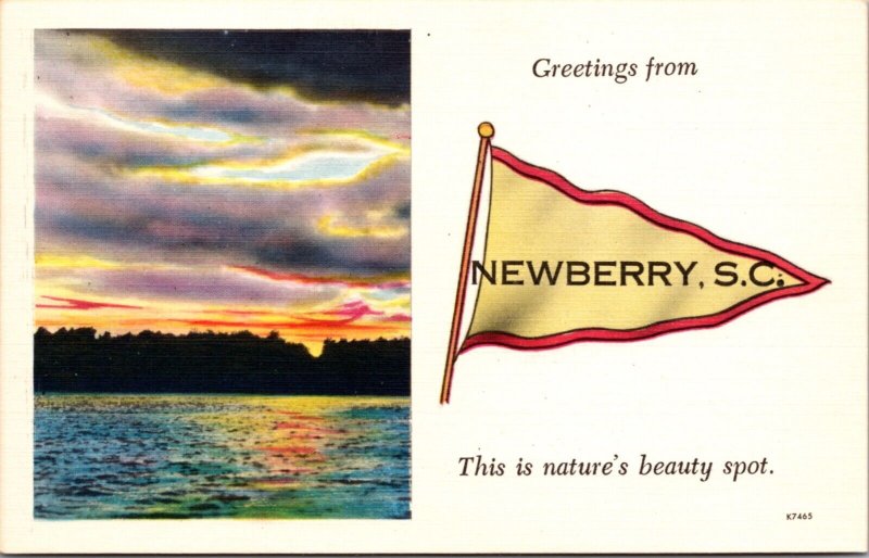 Linen Postcard Pennant Greetings from Newberry, South Carolina