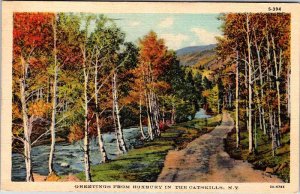 Postcard ROAD SCENE Catskills New York NY AL7403