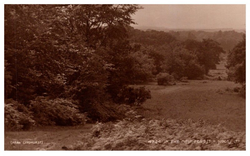 Near Lyndhurst in the new forest  Judges Ltd no. 4744