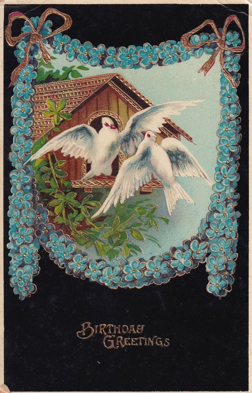 Birthday Greetings Doves Bird House to Centerville KS Postcard B34