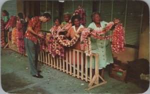 Postcard Lei Sellers Honolulu Hawaii 1963