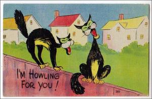 I'm Howling For You, Cats