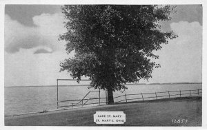 LAKE ST. MARY ST.MARY'S OHIO TREE DEXTER PRESS POSTCARD (1940s)