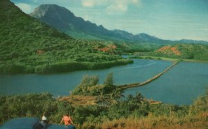 Postcard Menehune Fish Pond Built On Kauai By Legendary Hawaiian Dwarfs Hawaii