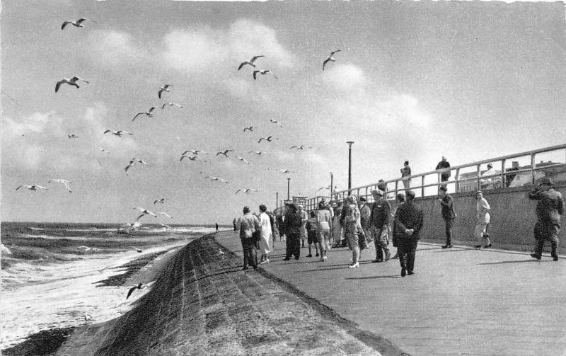 BG28951 nordseeheilbad norderney   germany CPSM 14x9cm