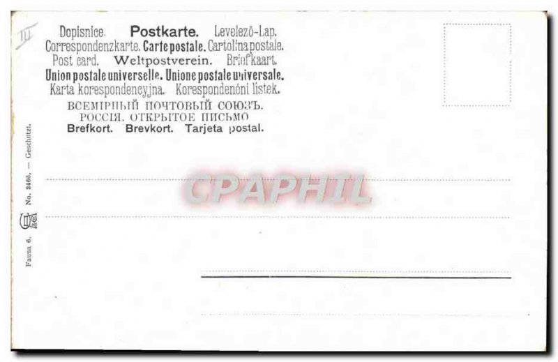 Old Postcard Brown Bear