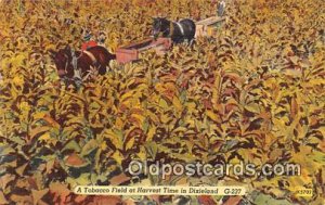 Tobacco, Farming Tobacco Field at Harvest Time Dixieland Unused 