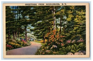 1941 Greetings From Middleburg New York NY, Road And Trees View Vintage Postcard 