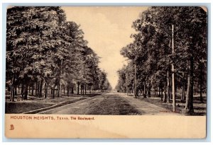 c1905 The Boulevard Dirt Road And Trees Houston Heights Texas TX Tuck's Postcard 