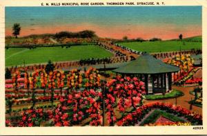 New York Syracuse Thornden Park E M Mills Rose Garden 1941