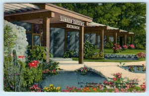 3 Postcards ST. PETERSBURG, FL ~ Entrance SUNKEN GARDENS Rose Arbor, Bridal Arch