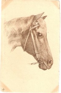 Horse Nice old vintage postcard. Artist signed