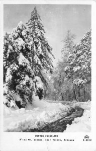 Arizona Tucson Winter Fairyland X-2912 Frasher 1940s RPPC Photo Postcard 22-3071