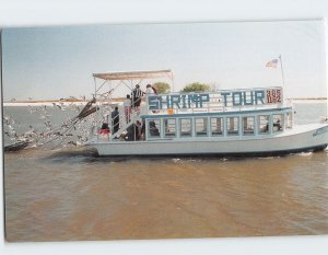 Postcard Biloxi Shrimping Trip Biloxi Mississippi USA