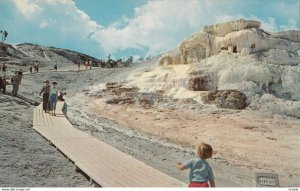 YELLOWSTONE , Minerva Terrace at Mammoth , 1950-60s