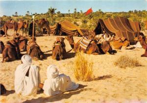 B53442 Tunisia  Nomads