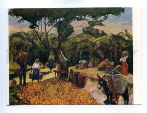 195160 ARMENIA collection peaches farm Saryan old postcard