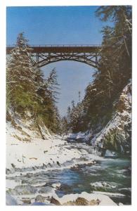 Quechee Gorge Bridge VT Windsosr County Winter Robert Holland Photo Vntg Postcar