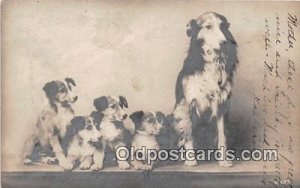 Collie Dog 1910 Missing Stamp 