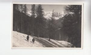 BF26095 sospel a m la foret de turini et les alpes   france  front/back image