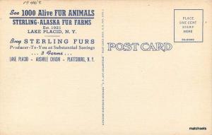 1940s Sterling Alaska Fur Farms Lake Placid New York Teich postcard 3960 